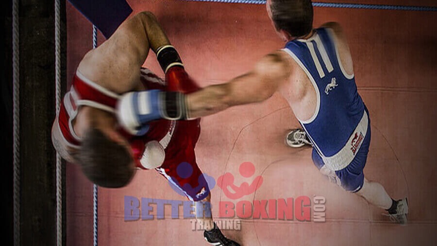 private technical boxing gold coast,complete program